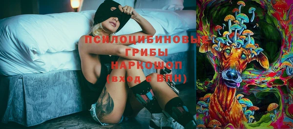 apvp Горняк