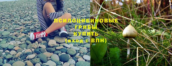 экстази Пересвет